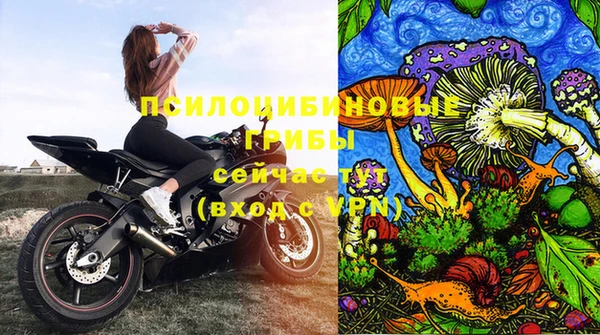бутират Алексеевка