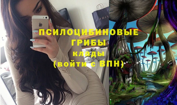 бутират Алексеевка