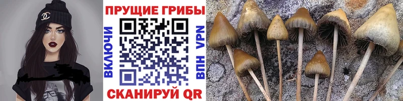 Галлюциногенные грибы прущие грибы  ссылка на мегу зеркало  Липки 